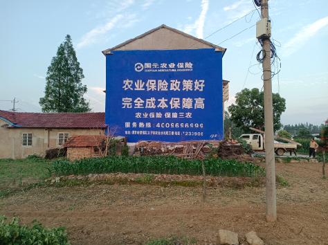 常州墙体广告的优劣势你知道吗?